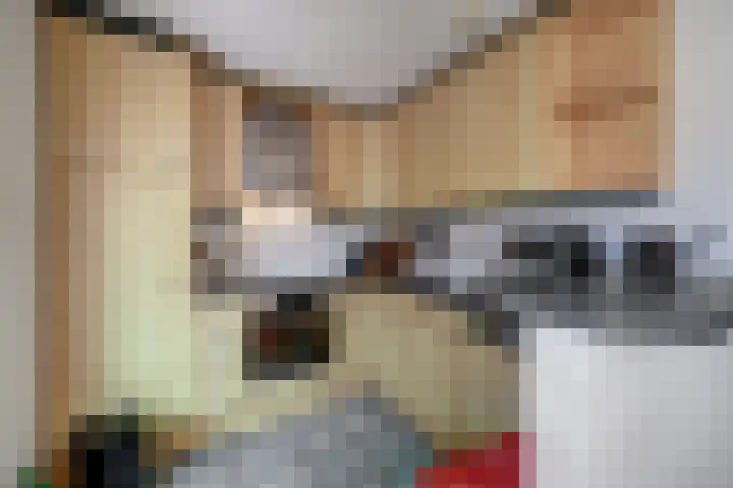 Jan van Dieststraat 6 Vollenhove thumbnail 13