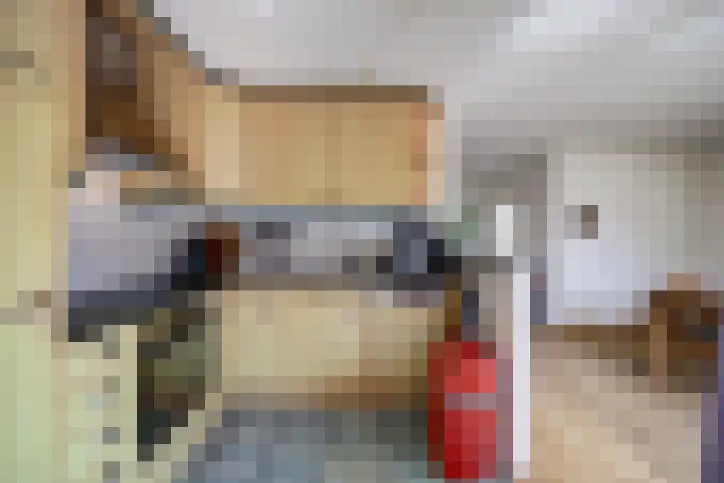 Jan van Dieststraat 6 Vollenhove thumbnail 15
