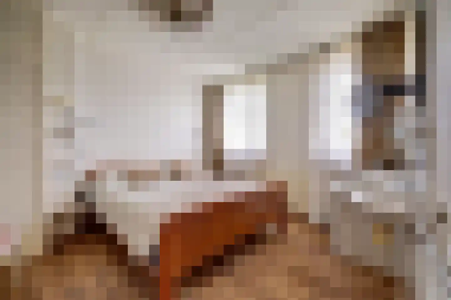 Jan van Dieststraat 6 Vollenhove thumbnail 20