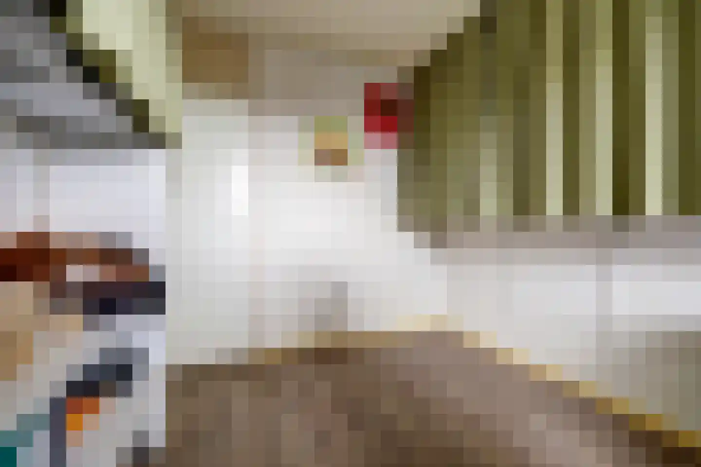 Jan van Dieststraat 6 Vollenhove thumbnail 24