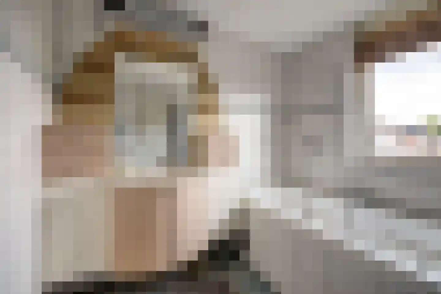 Jan van Dieststraat 6 Vollenhove thumbnail 27