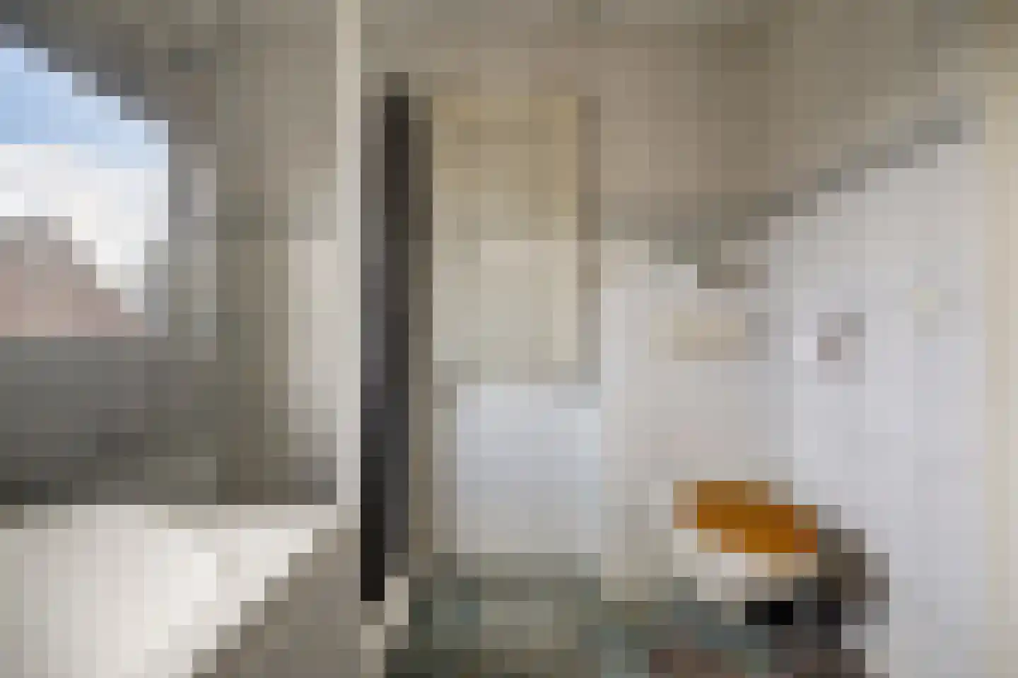 Jan van Dieststraat 6 Vollenhove thumbnail 28