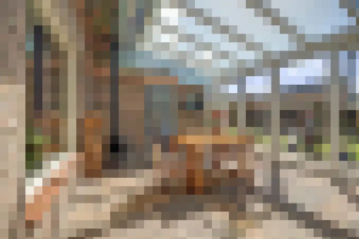 Jan van Dieststraat 6 Vollenhove thumbnail 34