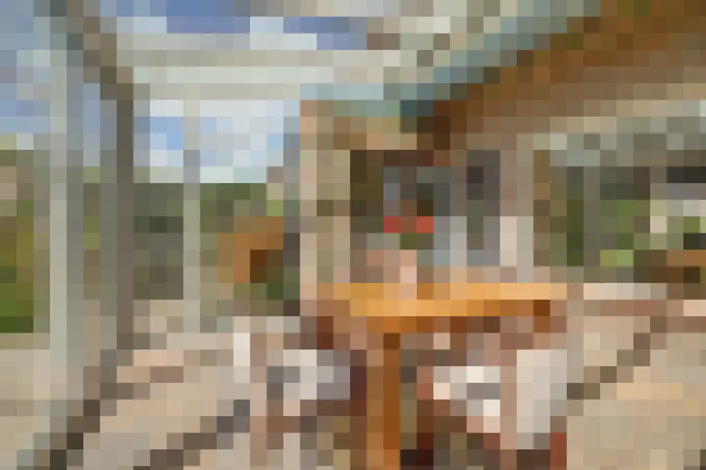 Jan van Dieststraat 6 Vollenhove thumbnail 35