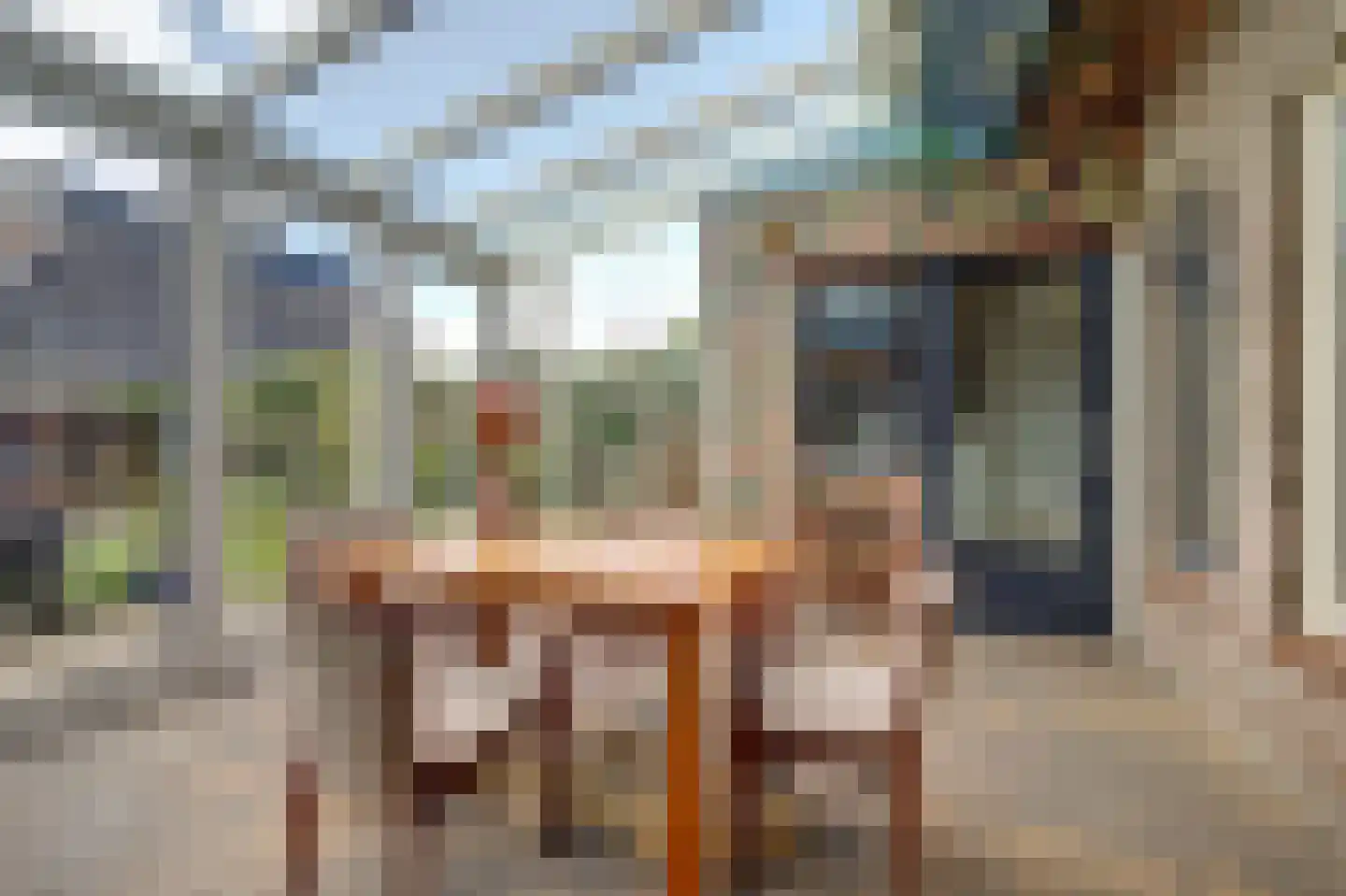 Jan van Dieststraat 6 Vollenhove thumbnail 36