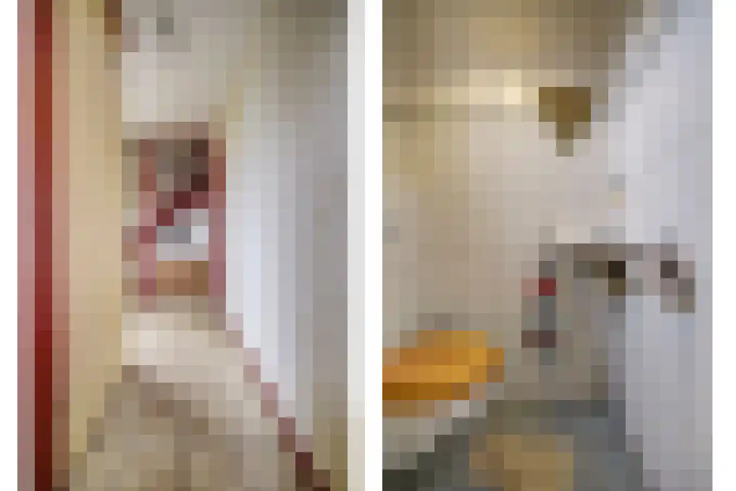 Jan van Dieststraat 6 Vollenhove thumbnail 6
