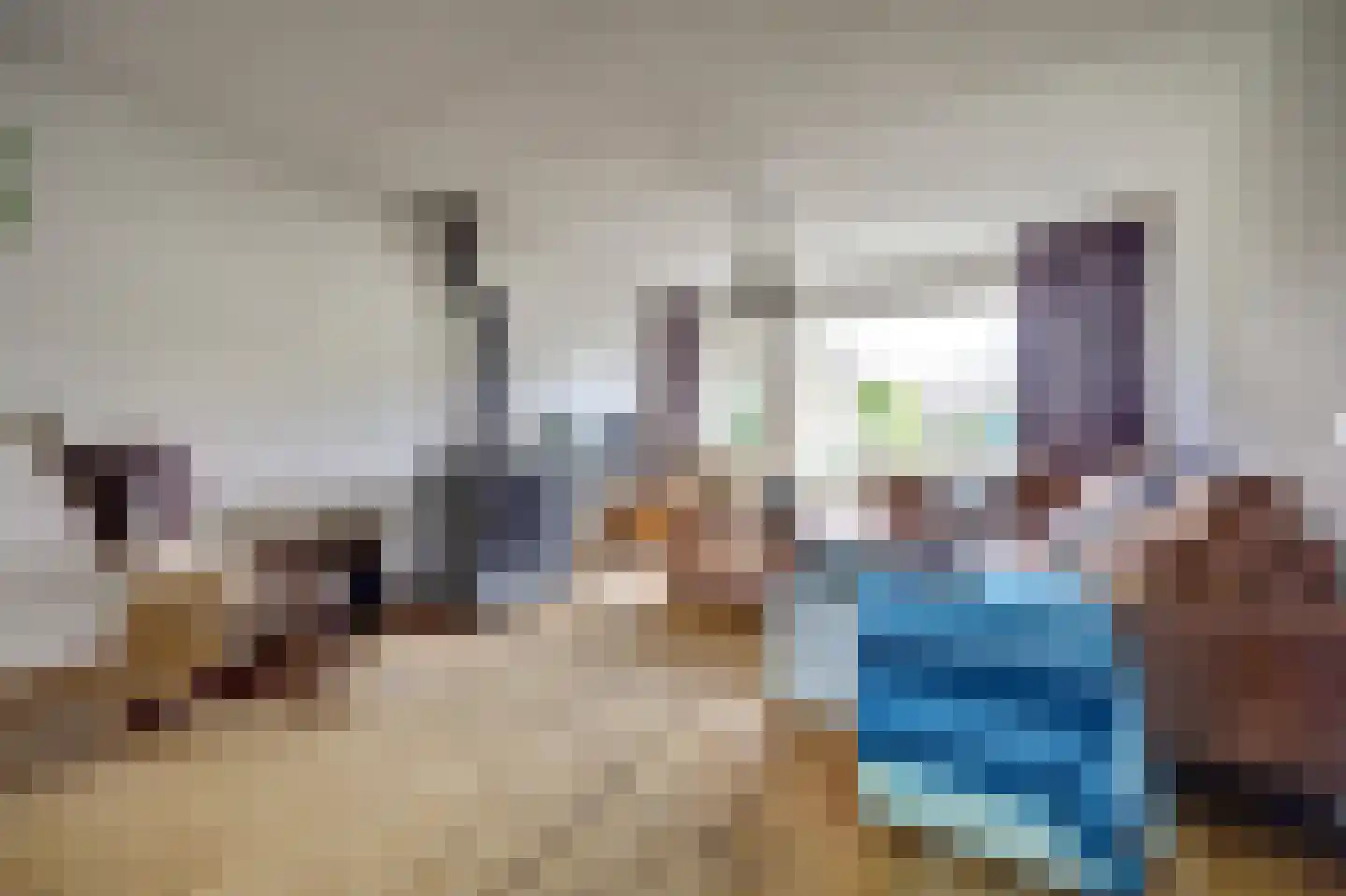 Jan van Dieststraat 6 Vollenhove thumbnail 7
