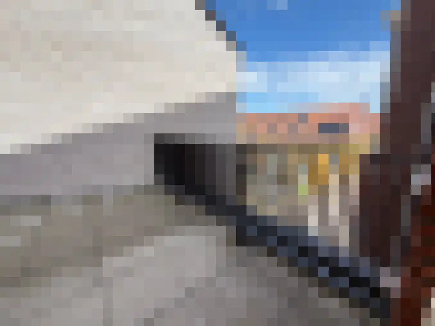 Jan van Dirkstraat 42 Harderwijk thumbnail 16
