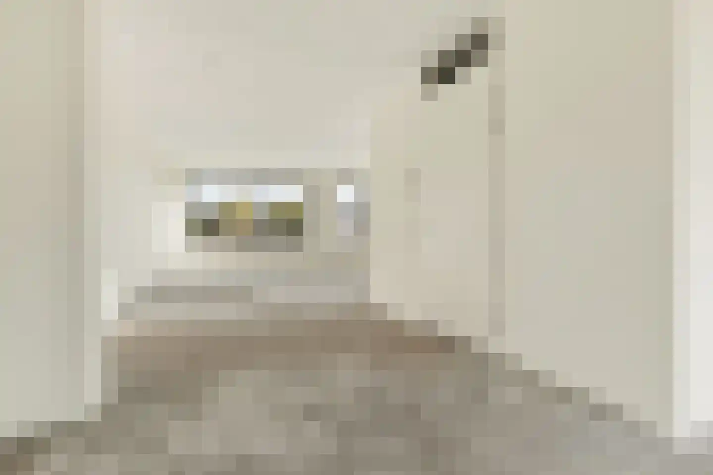 Jan van Dongenhof 20 Apeldoorn thumbnail 16
