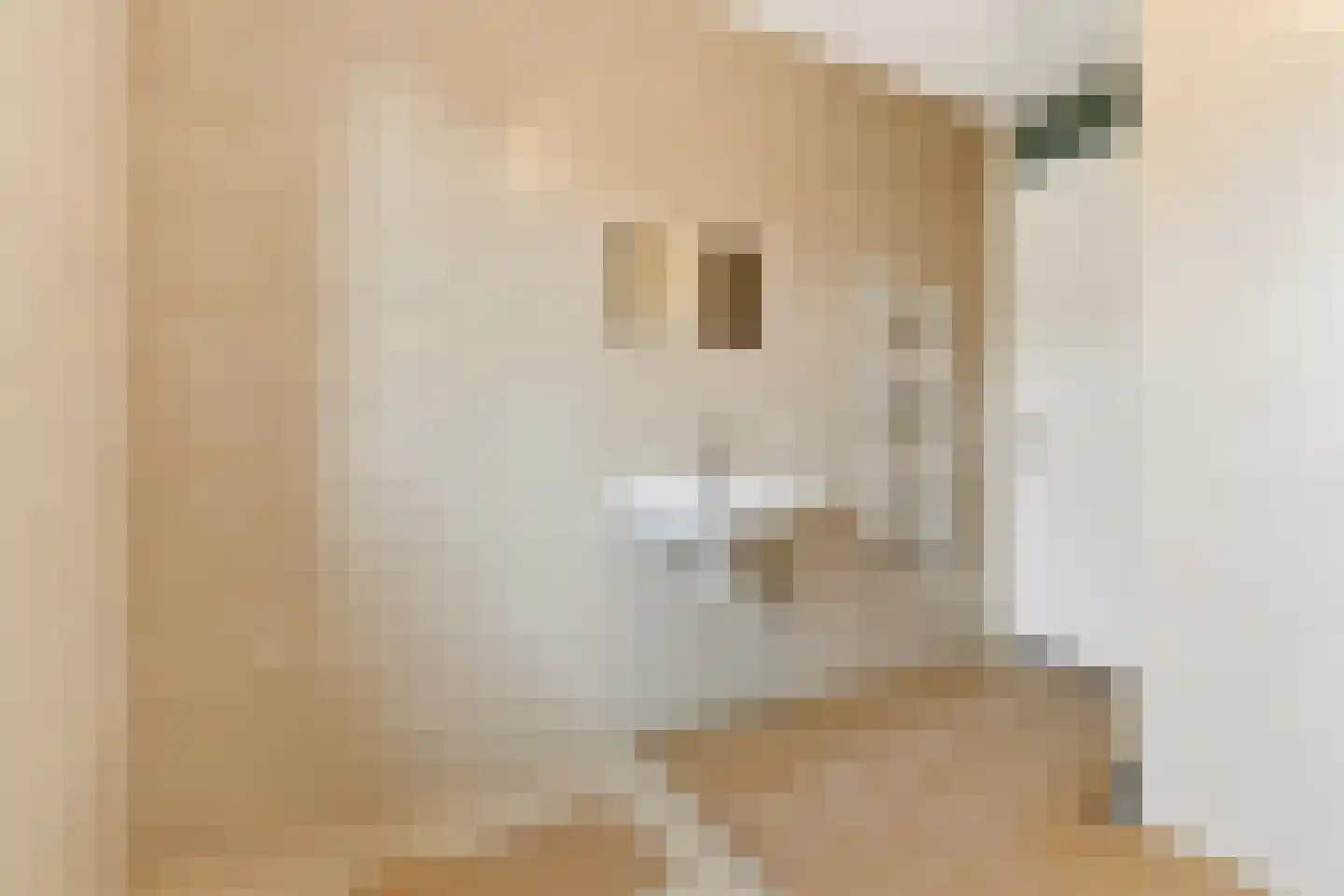 Jan van Dongenhof 20 Apeldoorn thumbnail 30