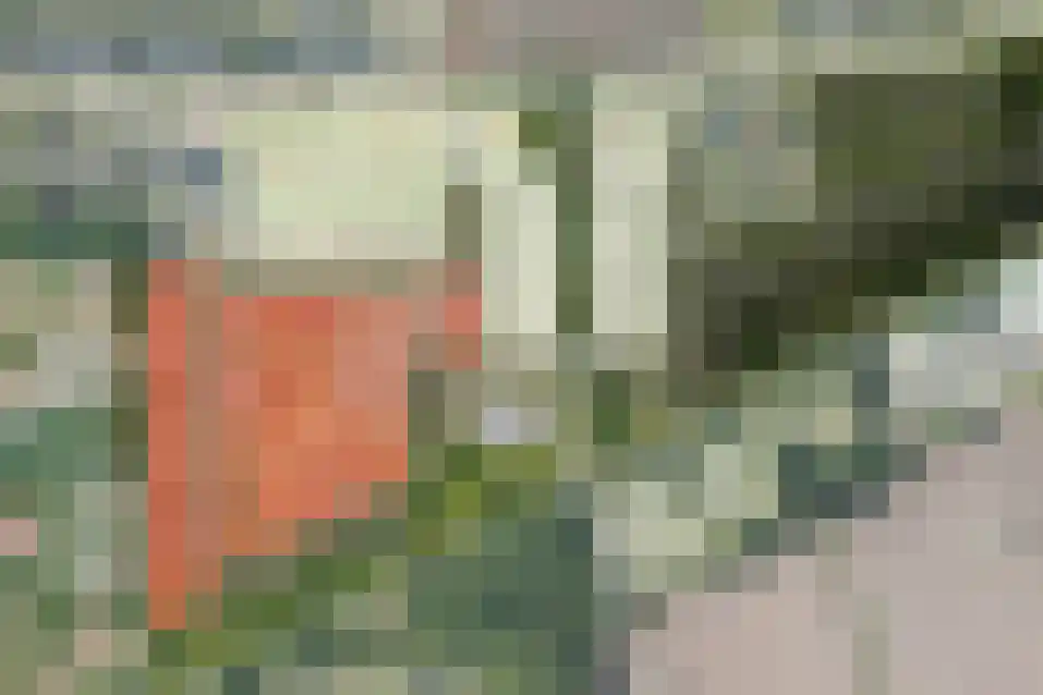 Jan van Dongenhof 20 Apeldoorn thumbnail 57