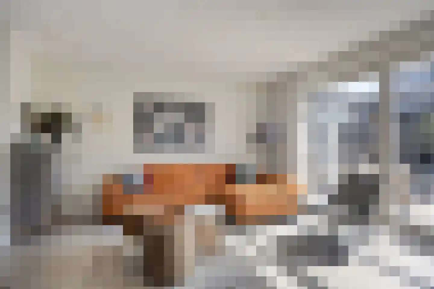 Jan van Duivenvoordepad 10 Brielle thumbnail 11