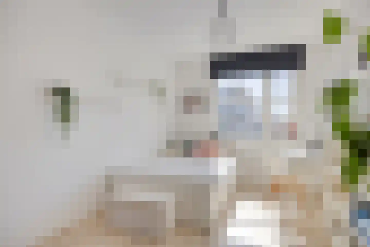 Jan van Duivenvoordepad 10 Brielle thumbnail 17