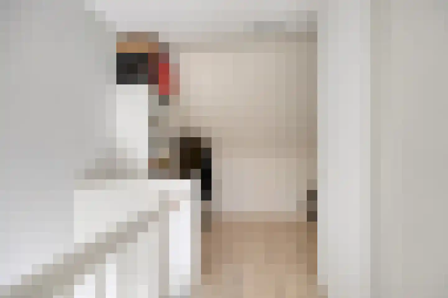 Jan van Duivenvoordepad 10 Brielle thumbnail 21