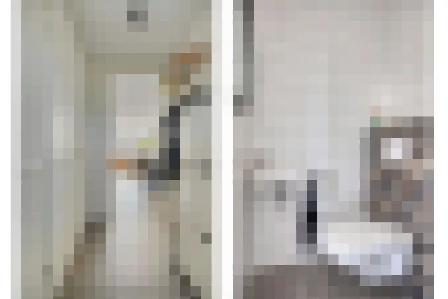 Jan van Duivenvoordepad 10 Brielle thumbnail 8