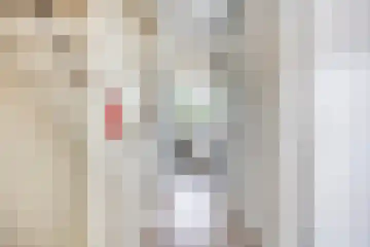 Jan van Duivenvoordepad 24 Brielle thumbnail 19