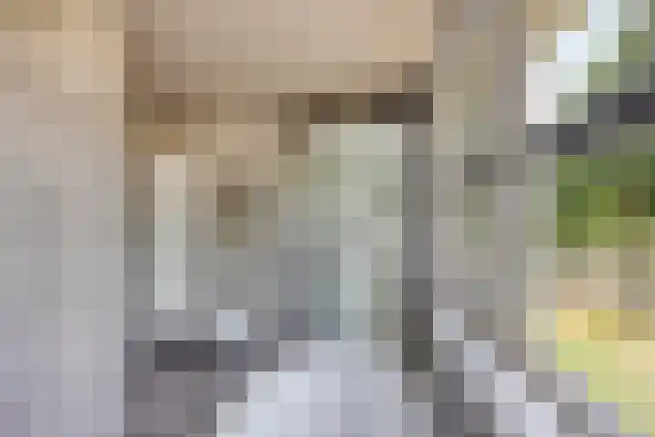 Jan van Duivenvoordepad 24 Brielle thumbnail 21