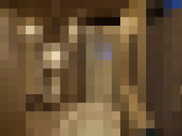 Jan van Duivenvoordepad 24 Brielle thumbnail 31