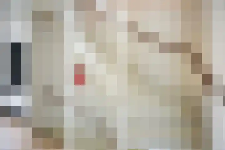 Jan van Duivenvoordepad 24 Brielle thumbnail 37