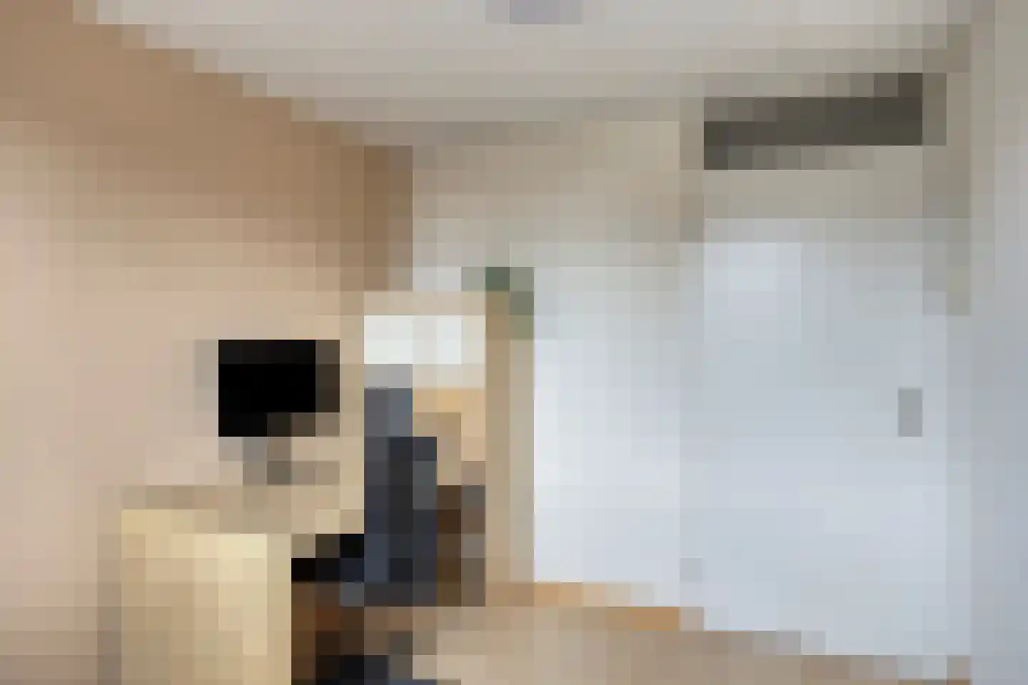 Jan van Eechoudstraat 44 Horst thumbnail 13