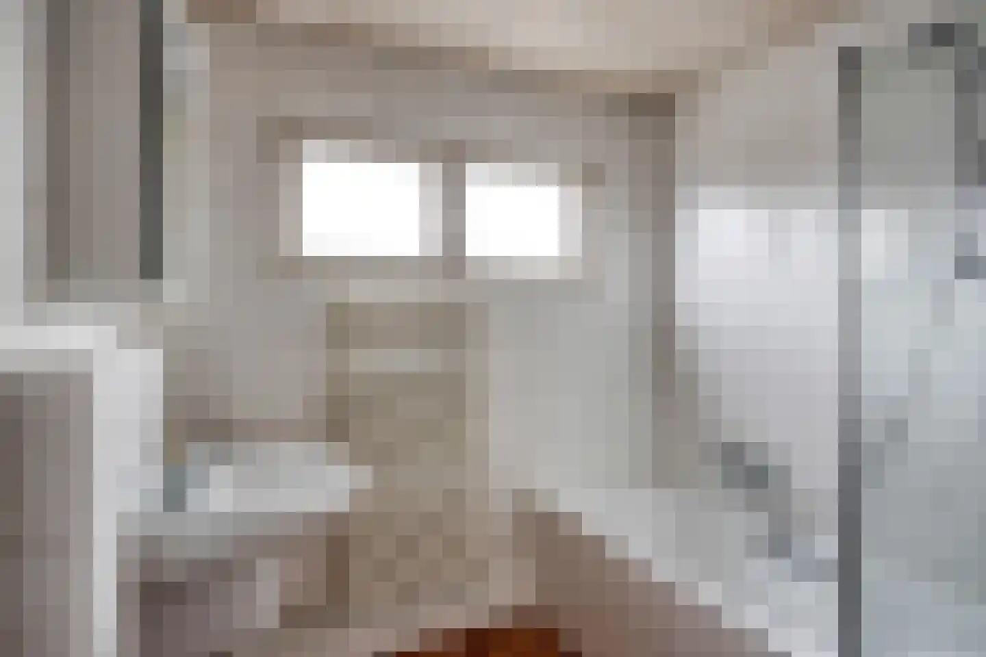 Jan van Eechoudstraat 44 Horst thumbnail 16