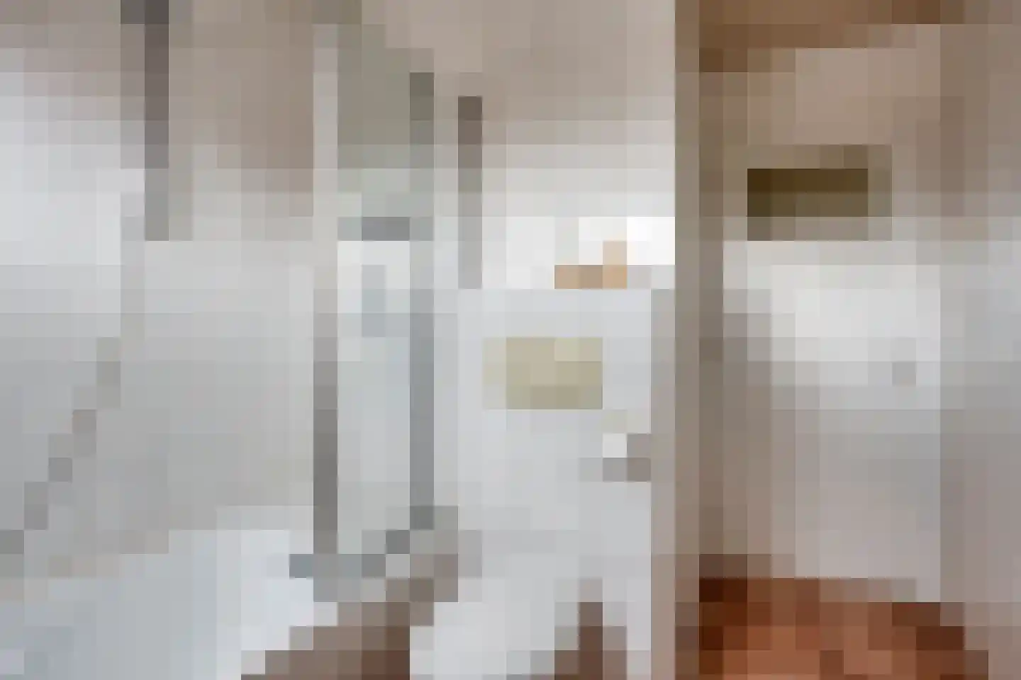 Jan van Eechoudstraat 44 Horst thumbnail 17