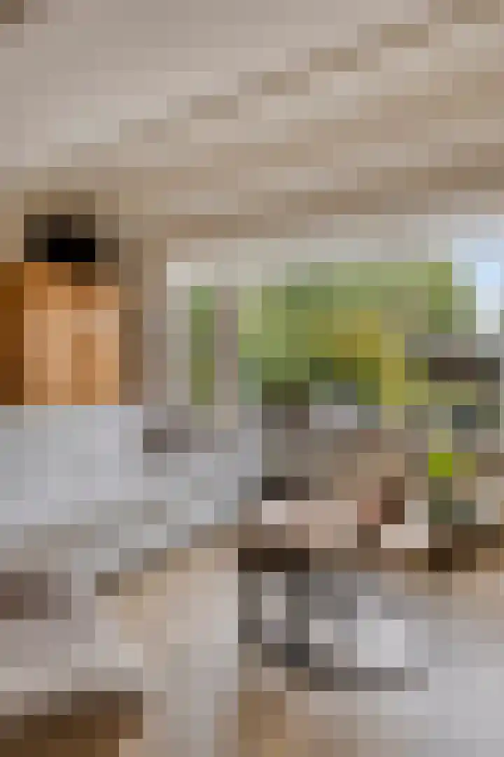 Jan van Eijckhof 34 Oosterhout thumbnail 14