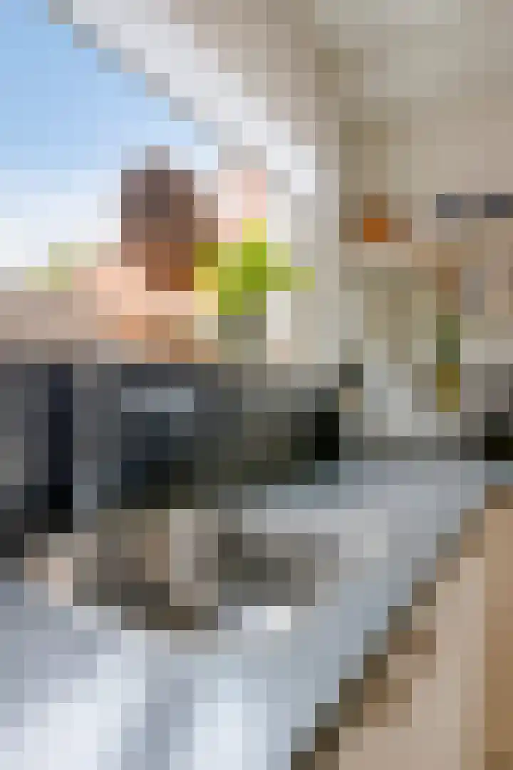 Jan van Eijckhof 34 Oosterhout thumbnail 22