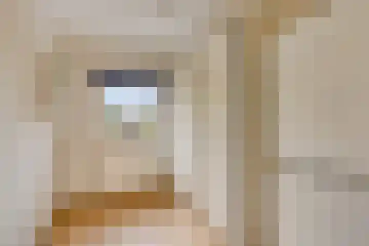 Jan van Eijckhof 34 Oosterhout thumbnail 36
