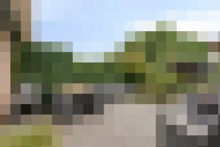 Jan van Eijckhof 34 Oosterhout thumbnail 39