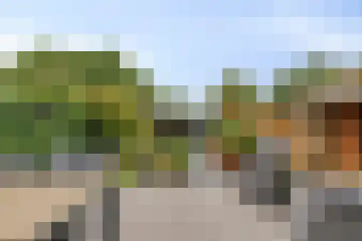 Jan van Eijckhof 34 Oosterhout thumbnail 41