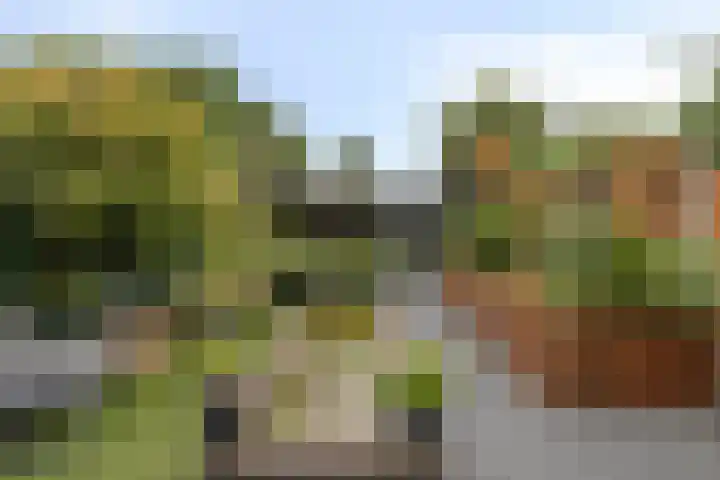Jan van Eijckhof 34 Oosterhout thumbnail 42