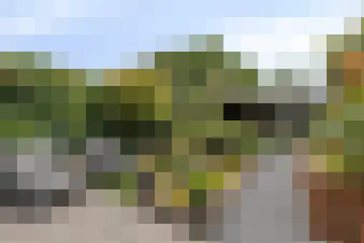 Jan van Eijckhof 34 Oosterhout thumbnail 43