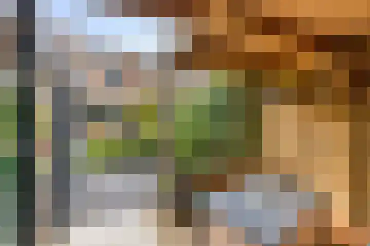 Jan van Eijckhof 34 Oosterhout thumbnail 45