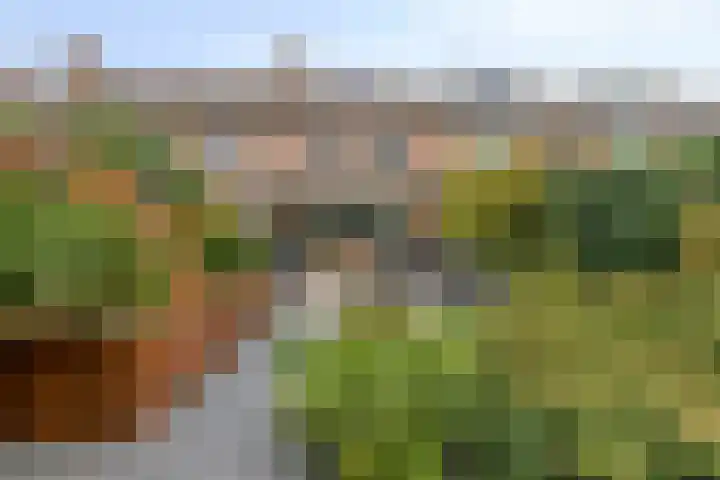 Jan van Eijckhof 34 Oosterhout thumbnail 46