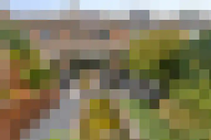 Jan van Eijckhof 34 Oosterhout thumbnail 48