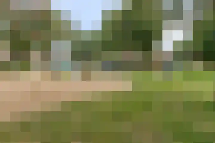 Jan van Eijckhof 34 Oosterhout thumbnail 50