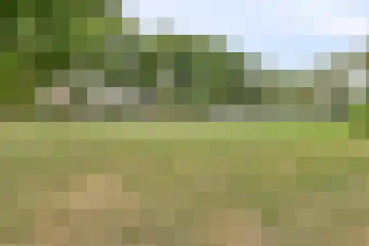 Jan van Eijckhof 34 Oosterhout thumbnail 51
