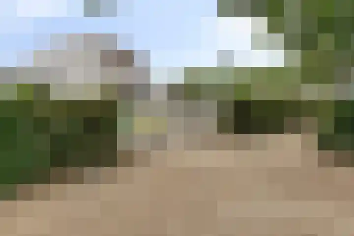 Jan van Eijckhof 34 Oosterhout thumbnail 52