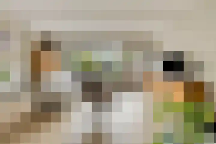 Jan van Eijckhof 34 Oosterhout thumbnail 8