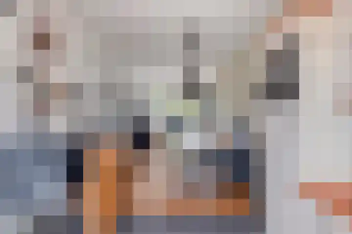 Jan van Eijckhof 7 Oosterhout thumbnail 12