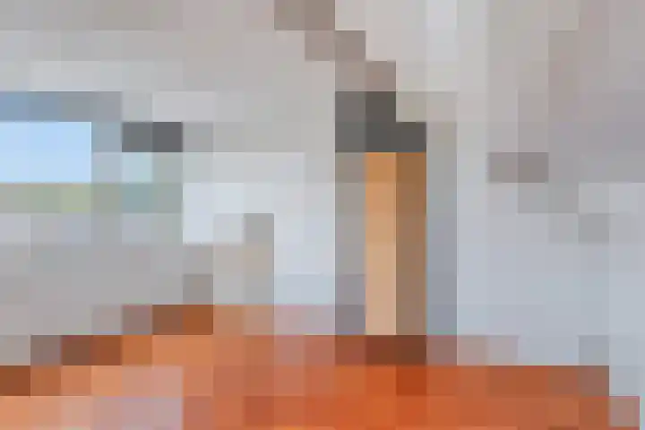 Jan van Eijckhof 7 Oosterhout thumbnail 23