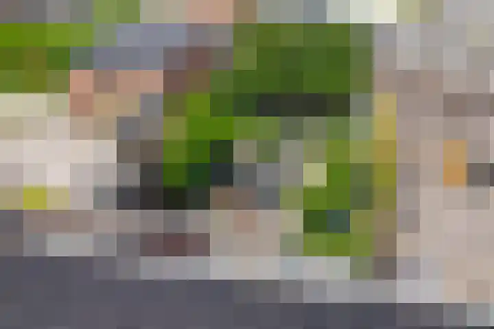Jan van Eijckhof 7 Oosterhout thumbnail 26