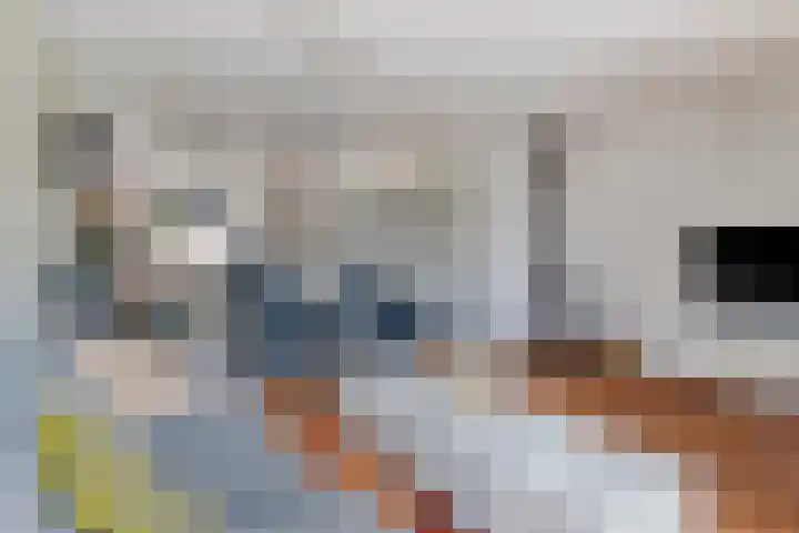 Jan van Eijckhof 7 Oosterhout thumbnail 5