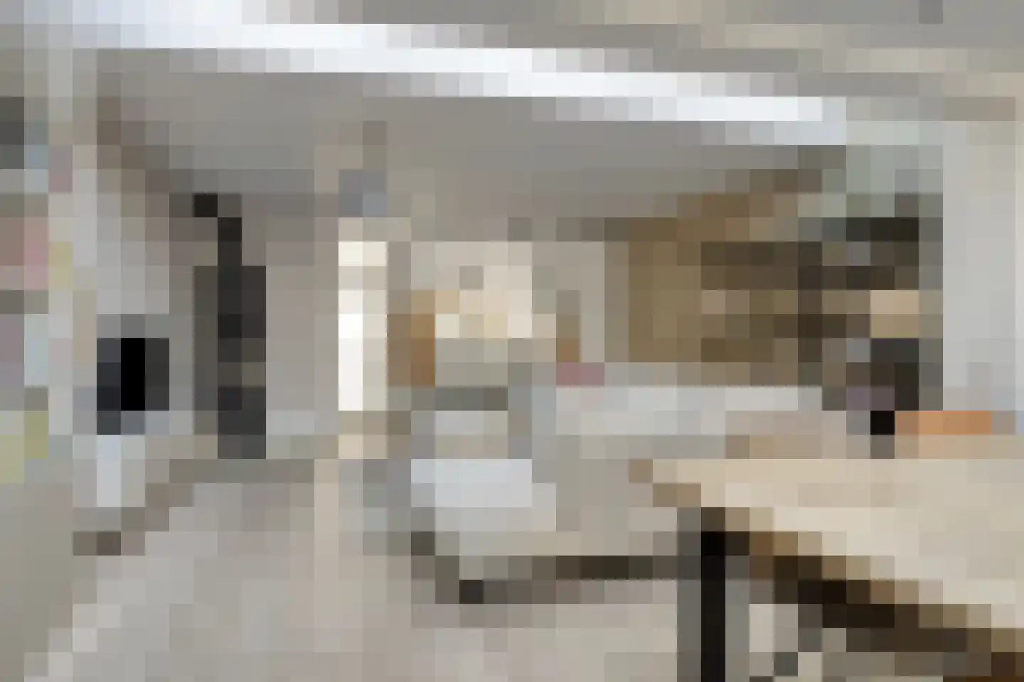 Jan van Eijckhof 8 Oosterhout thumbnail 17