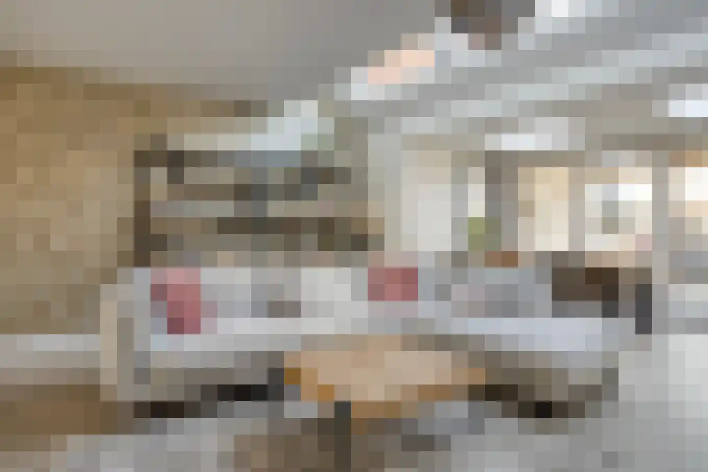 Jan van Eijckhof 8 Oosterhout thumbnail 18