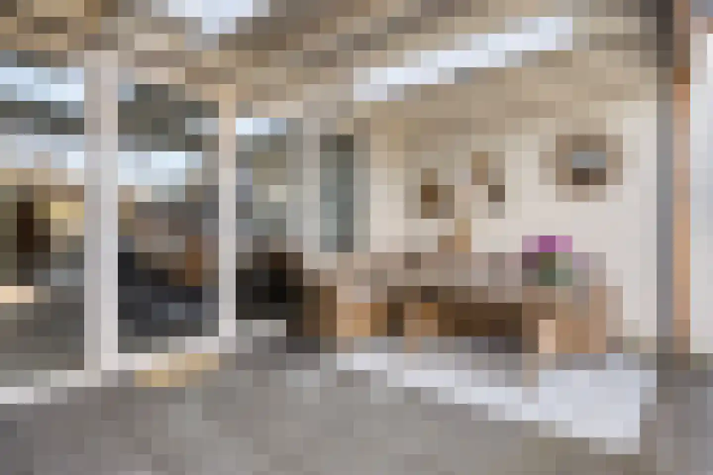 Jan van Eijckhof 8 Oosterhout thumbnail 4