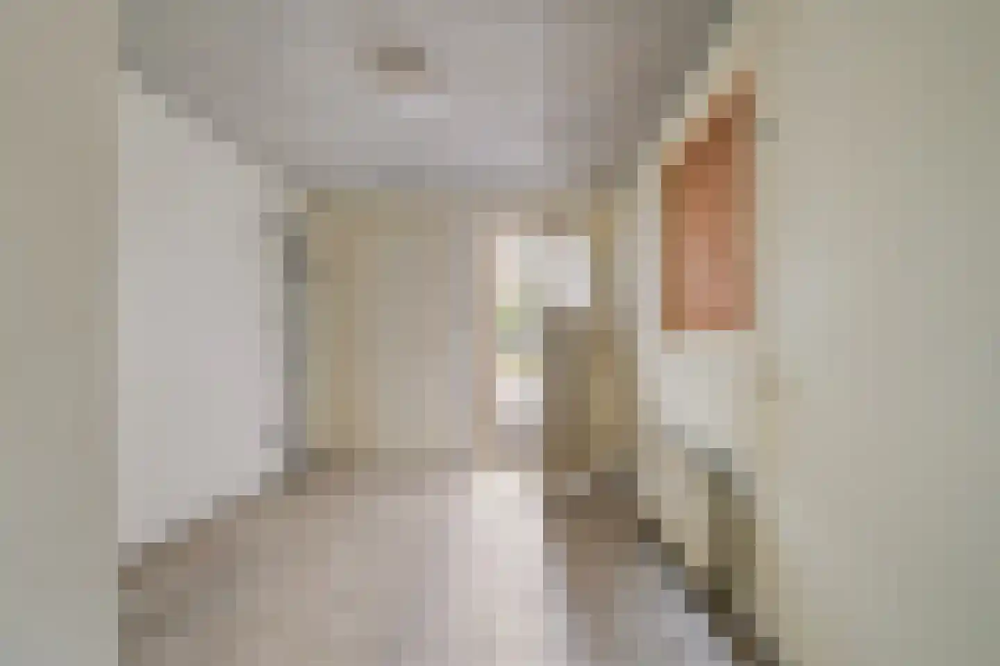 Jan van Eijckstraat 11 Oisterwijk thumbnail 20