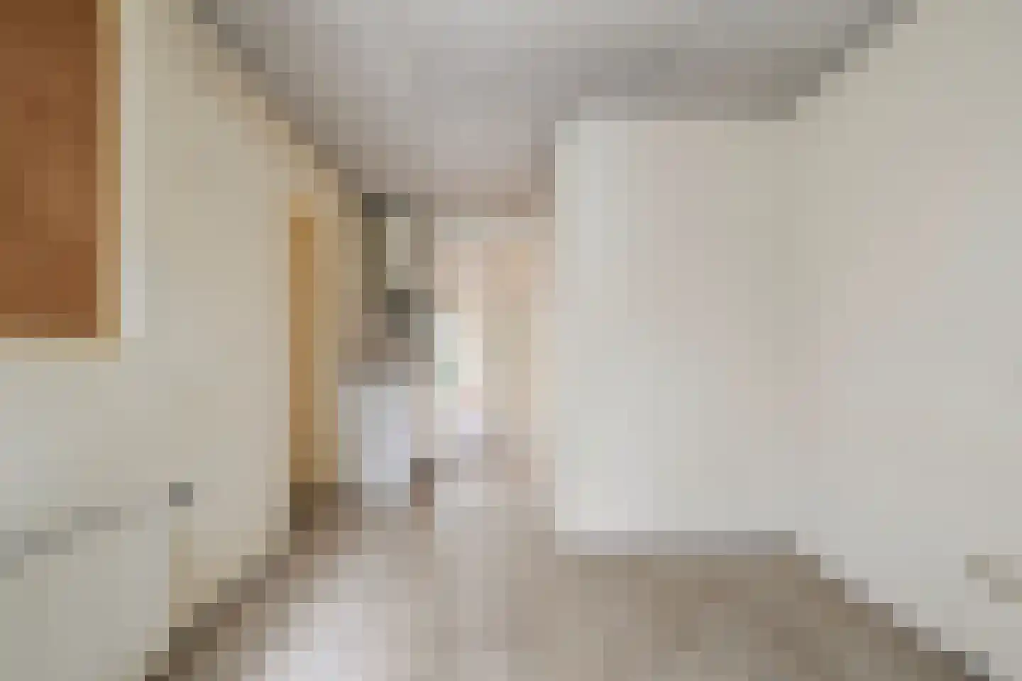 Jan van Eijckstraat 11 Oisterwijk thumbnail 21