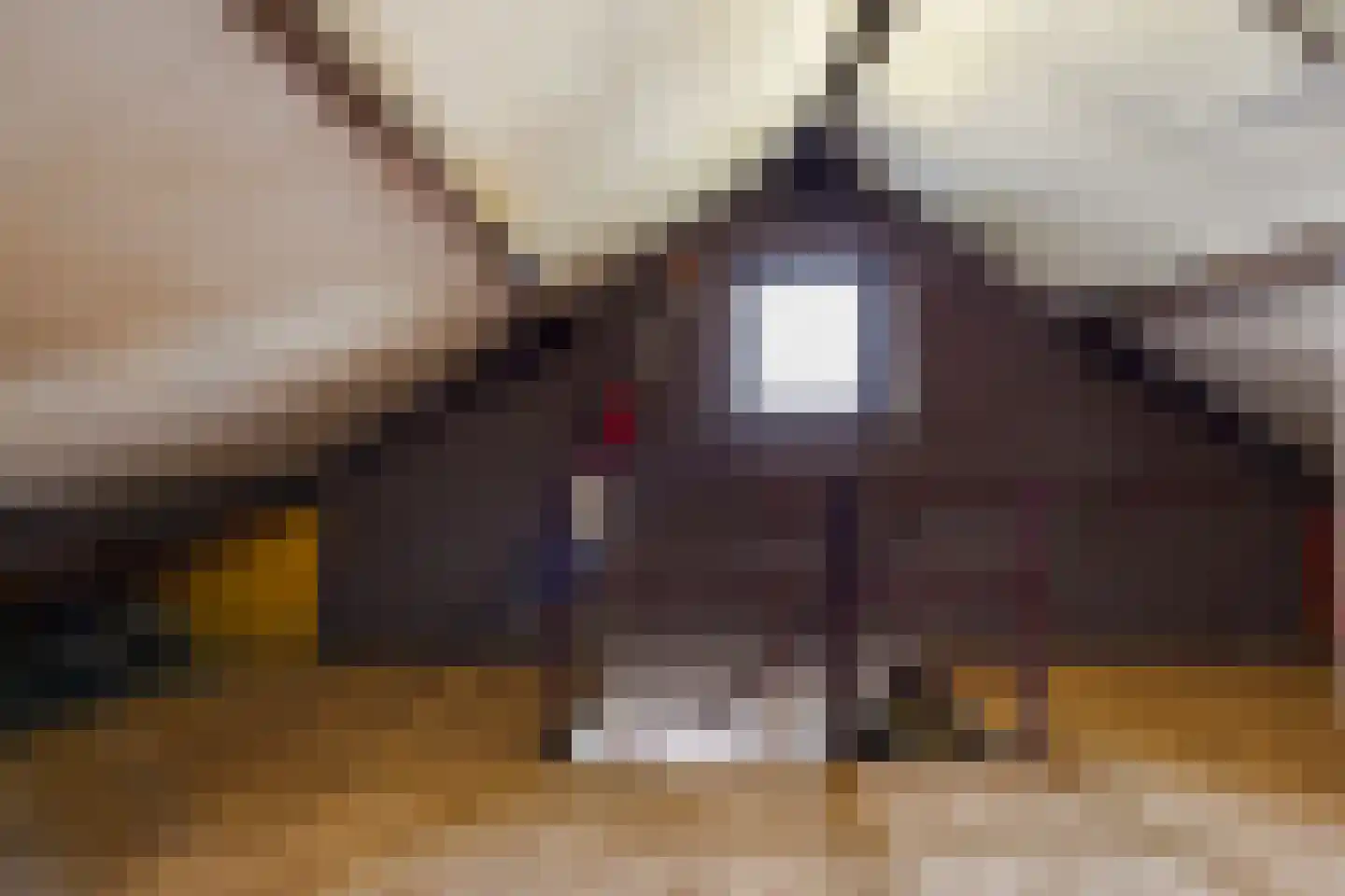 Jan van Eijckstraat 11 Oisterwijk thumbnail 37